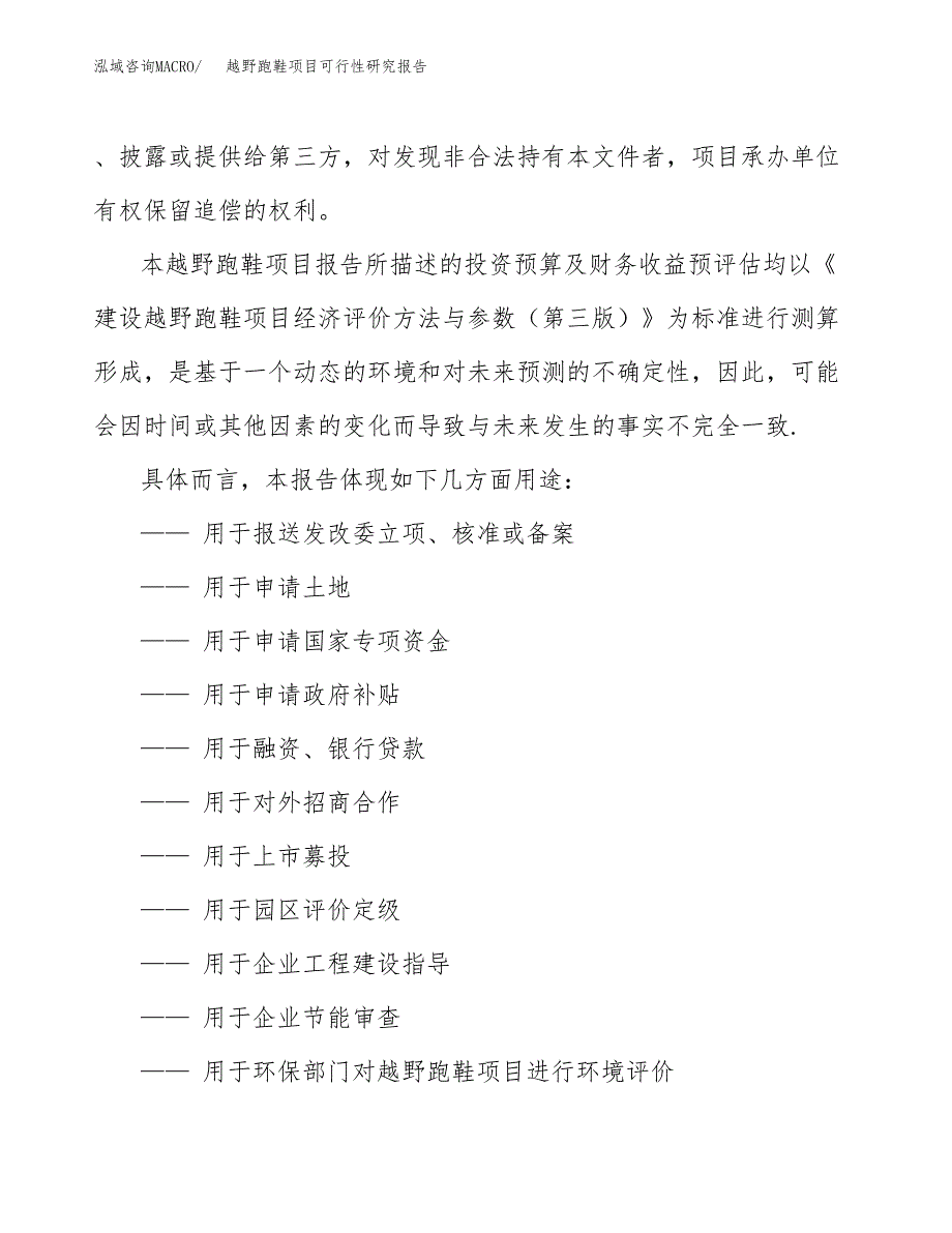 越野跑鞋项目可行性研究报告范本大纲.docx_第2页