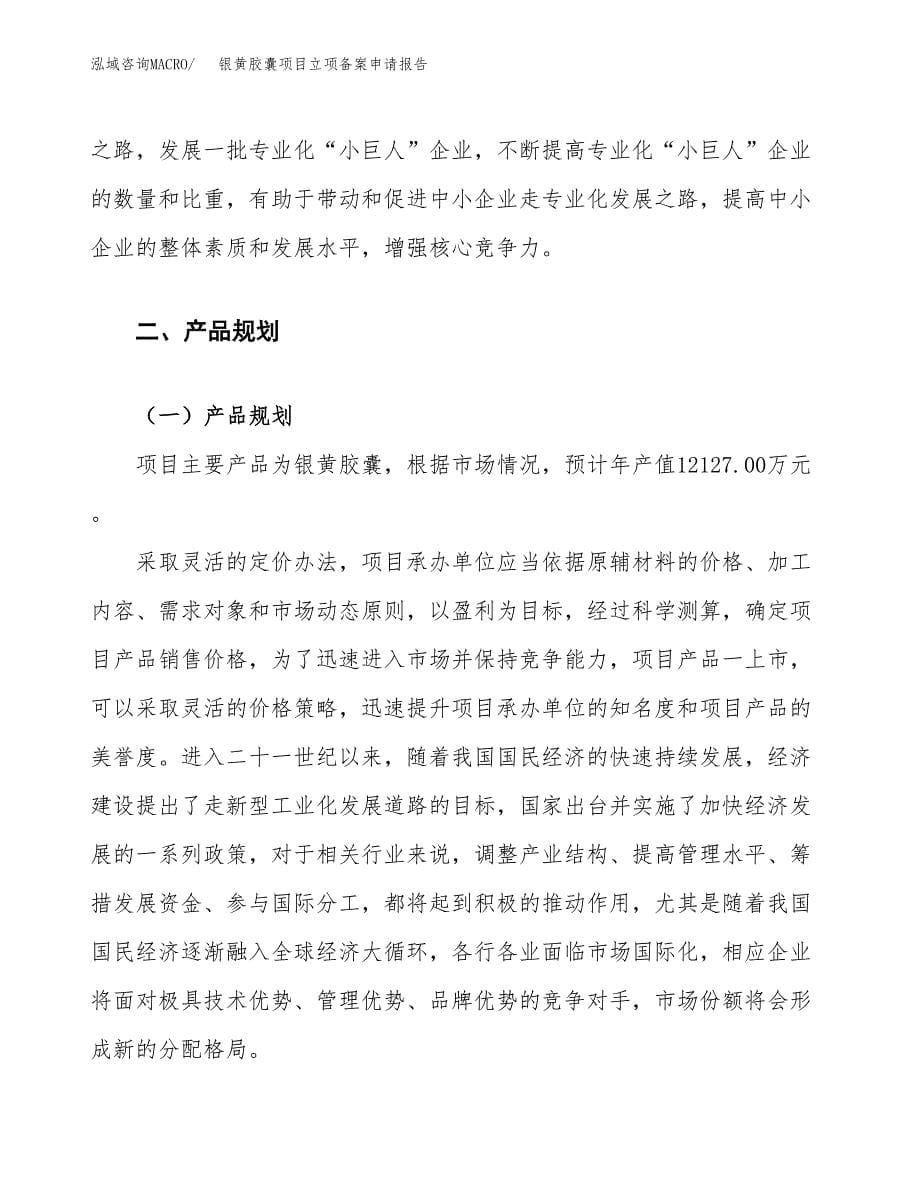 银黄胶囊项目立项备案申请报告.docx_第5页