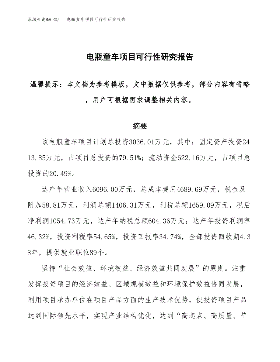 电瓶童车项目可行性研究报告范本大纲.docx_第1页