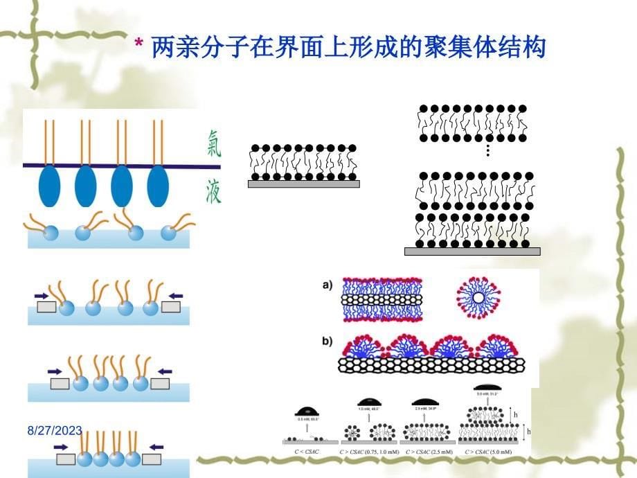 两亲分子聚集体化学-1-2009.9.17.ppt_第5页