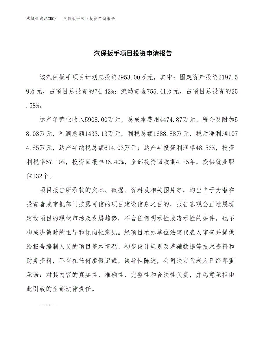 汽保扳手项目投资申请报告模板.docx_第2页