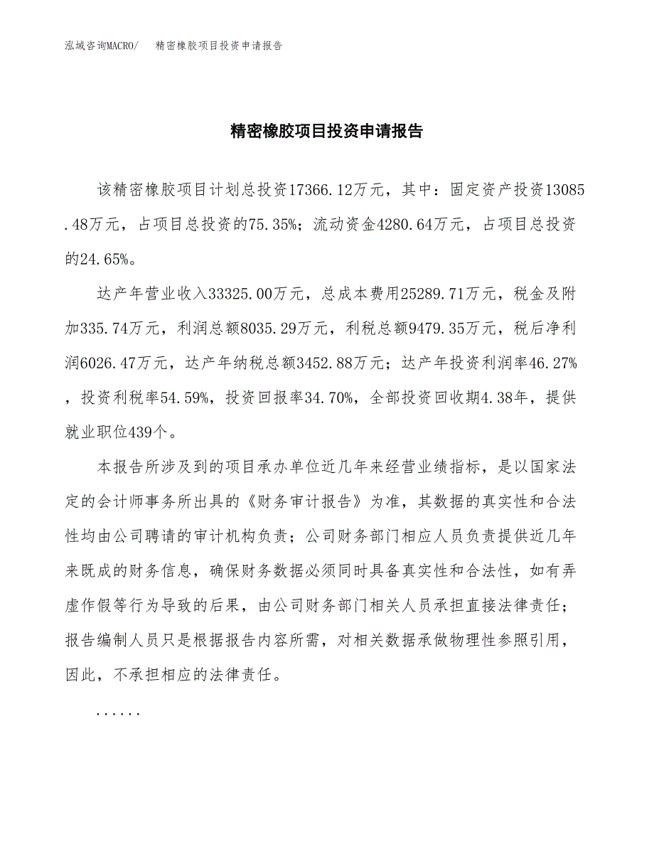 精密橡胶项目投资申请报告模板.docx_第2页