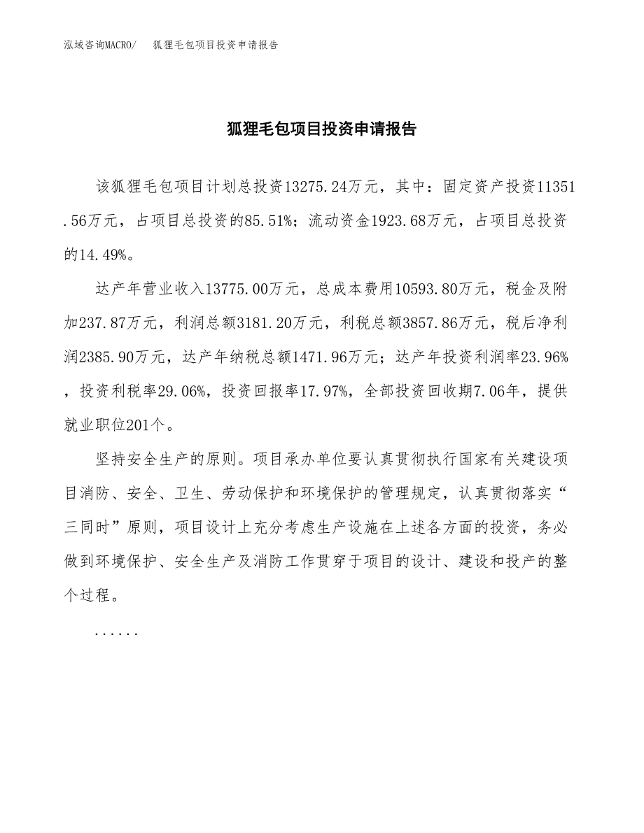 狐狸毛包项目投资申请报告模板.docx_第2页