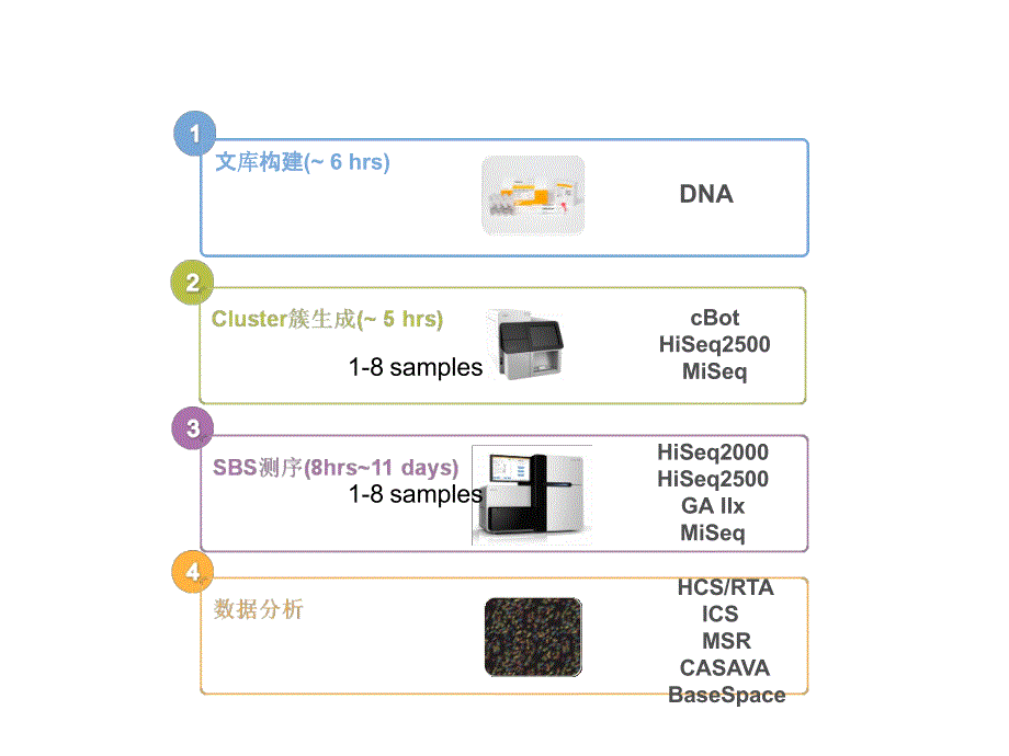 Illumina平台测序原理及常见测序文库构建.ppt_第4页