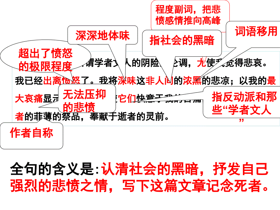 《记念刘和珍君》重要句子的理解.ppt_第4页