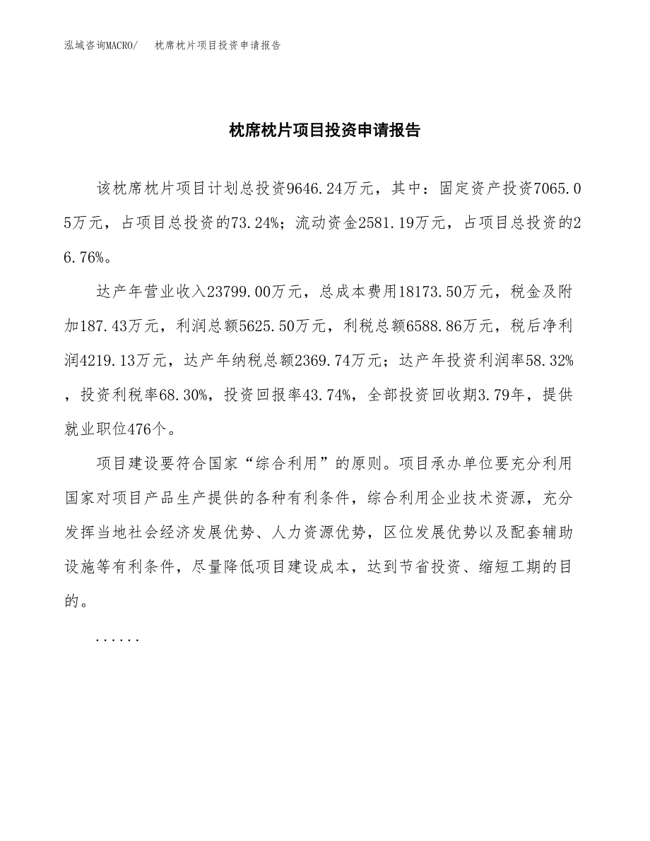 枕席枕片项目投资申请报告模板.docx_第2页