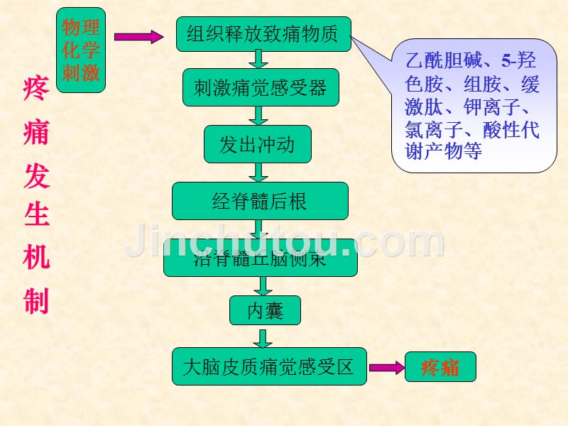 内科学健康评估疼痛_第3页