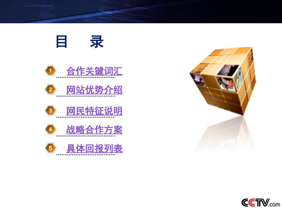 国际品牌企业战略合作方案.ppt_第2页