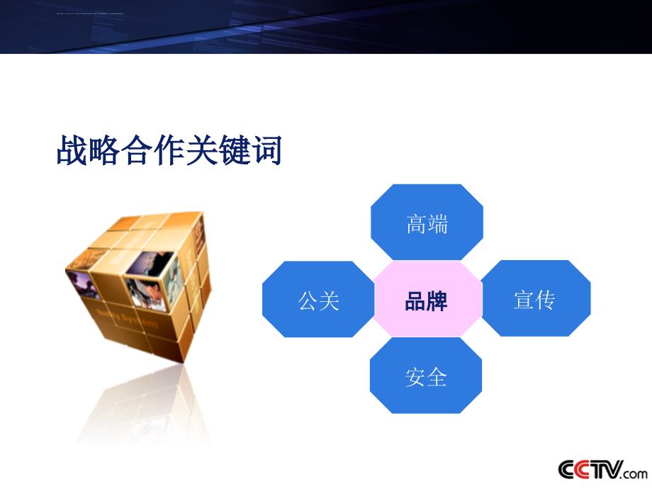 国际品牌企业战略合作方案.ppt_第3页