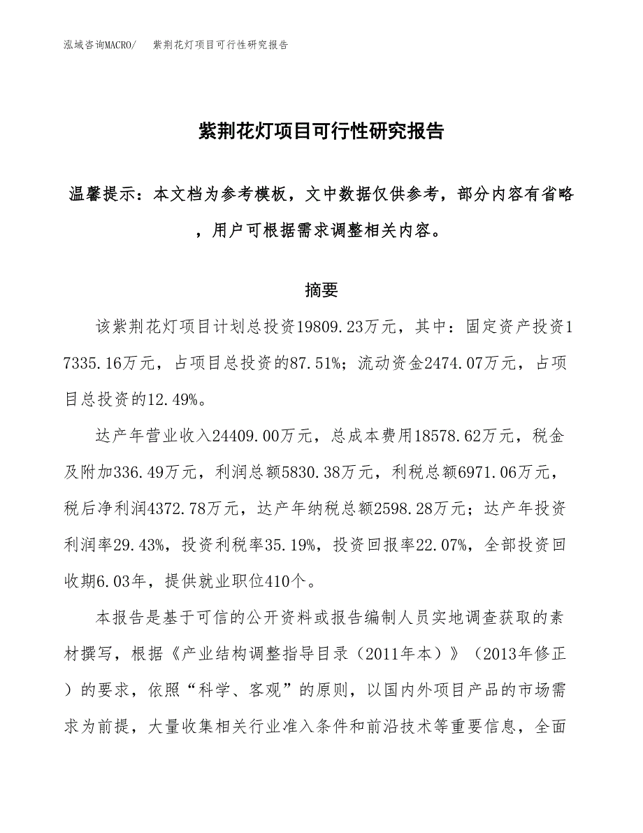 紫荆花灯项目可行性研究报告范本大纲.docx_第1页