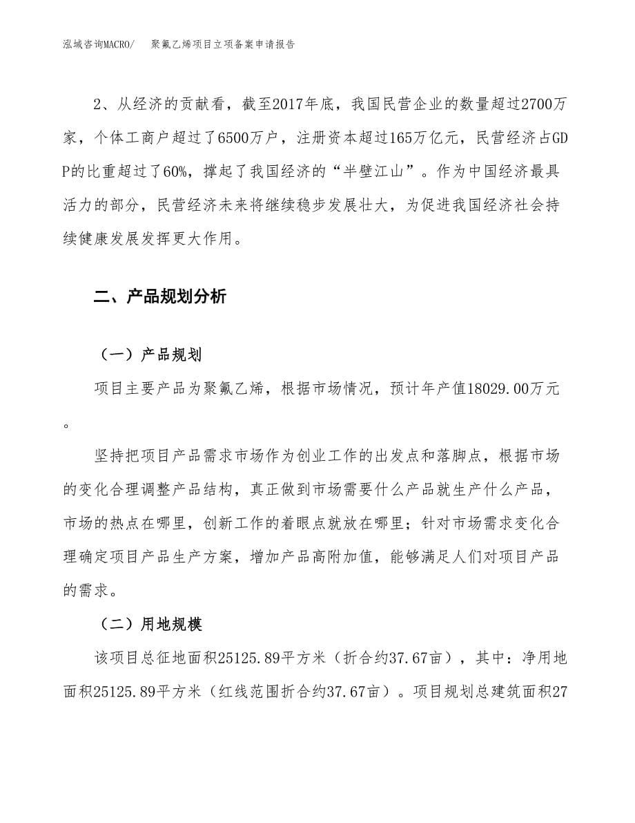 聚氟乙烯项目立项备案申请报告.docx_第5页