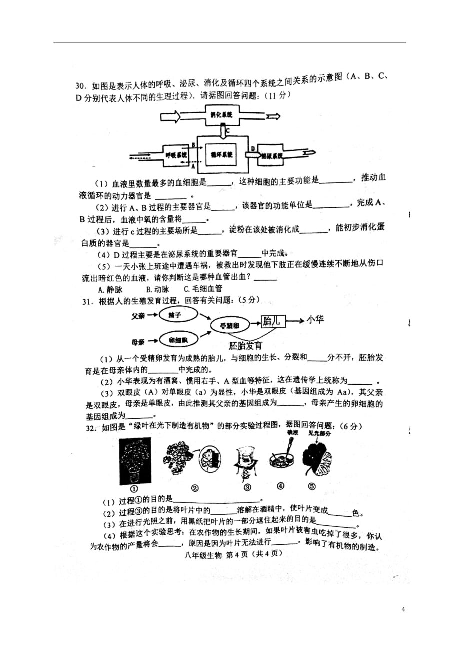 河北省滦县2017_2018学年八年级生物下学期期末试题（扫描版）新人教版_第4页