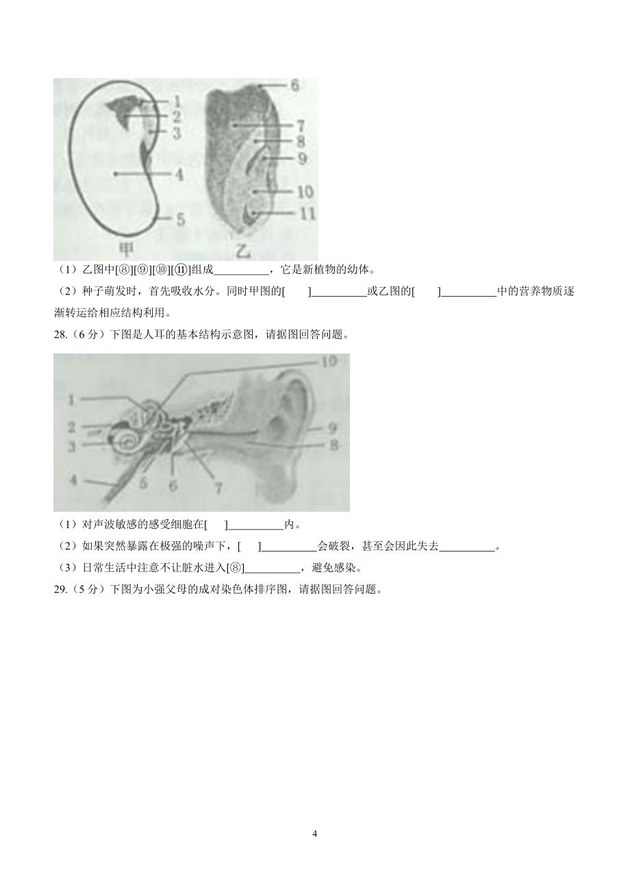 2017年中考真题 生物（黑龙江牡丹江卷）.doc_第4页