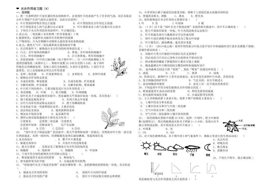 光合作用练习题 (A)含答案_第1页