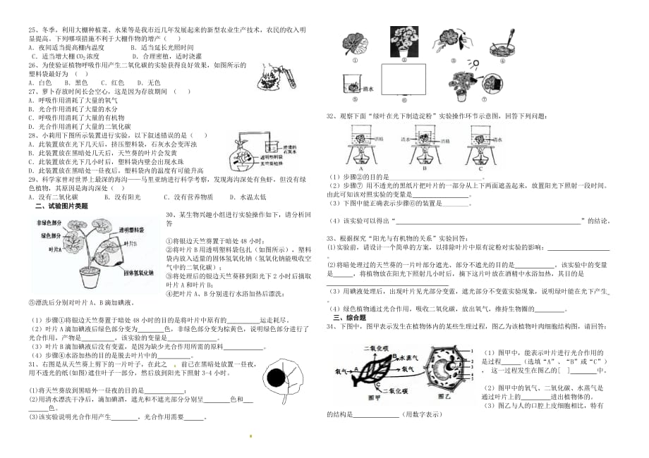 光合作用练习题 (A)含答案_第2页