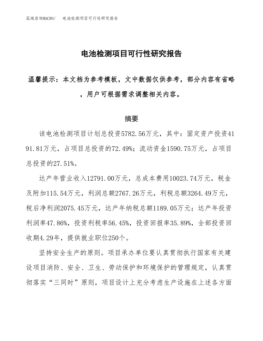 电池检测项目可行性研究报告范本大纲.docx_第1页