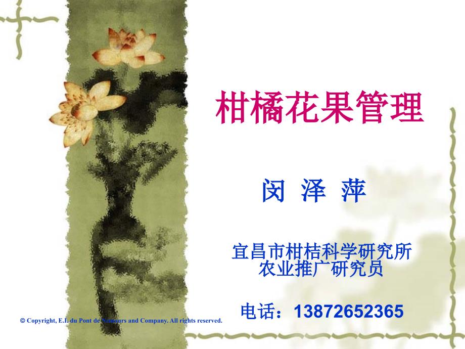 柑桔保花保果.ppt_第1页