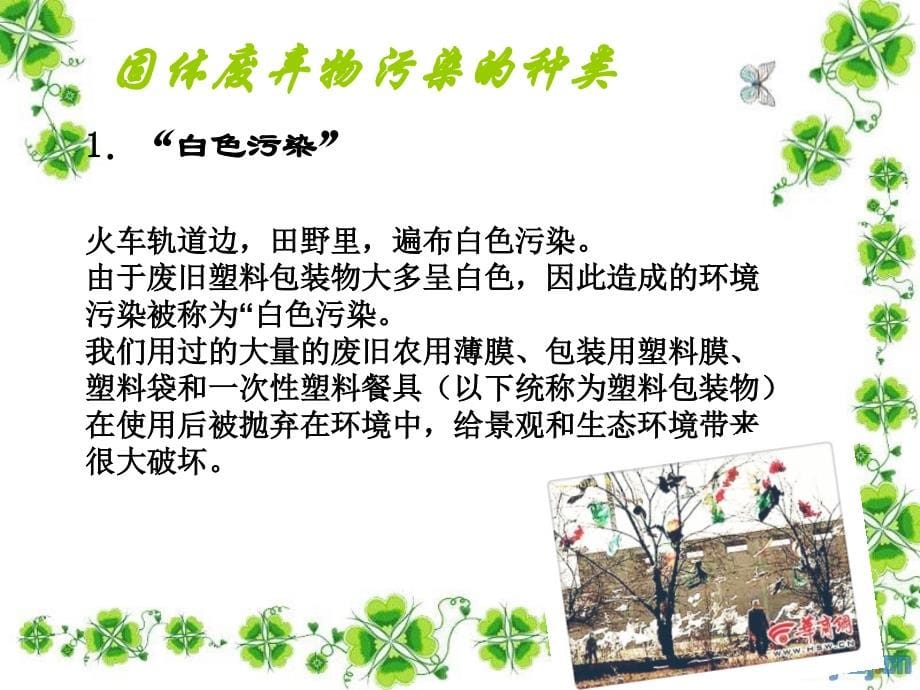 垃圾的处理PPT课件.ppt_第5页