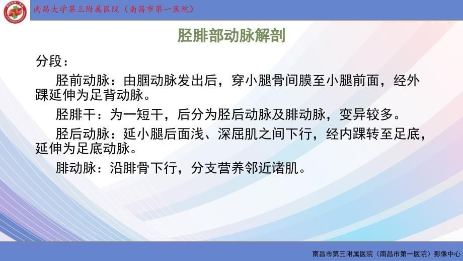 下肢CTA检查及临床运用_第5页