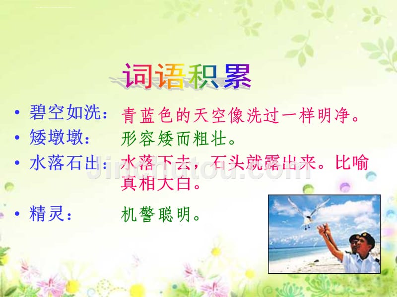 7《彩色的翅膀》PPT课件.ppt_第5页