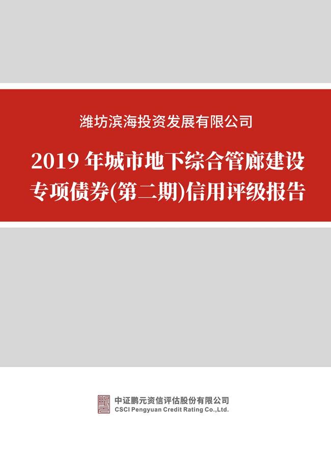 2019年第二期潍坊滨海投资发展有限公司城市地下综合管廊建设专项债券信用评级报告及跟踪评级安排