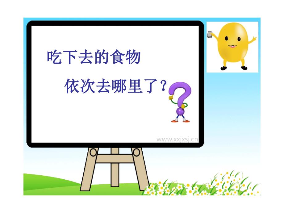 《食物在体内的旅行》PPT课件.ppt_第3页