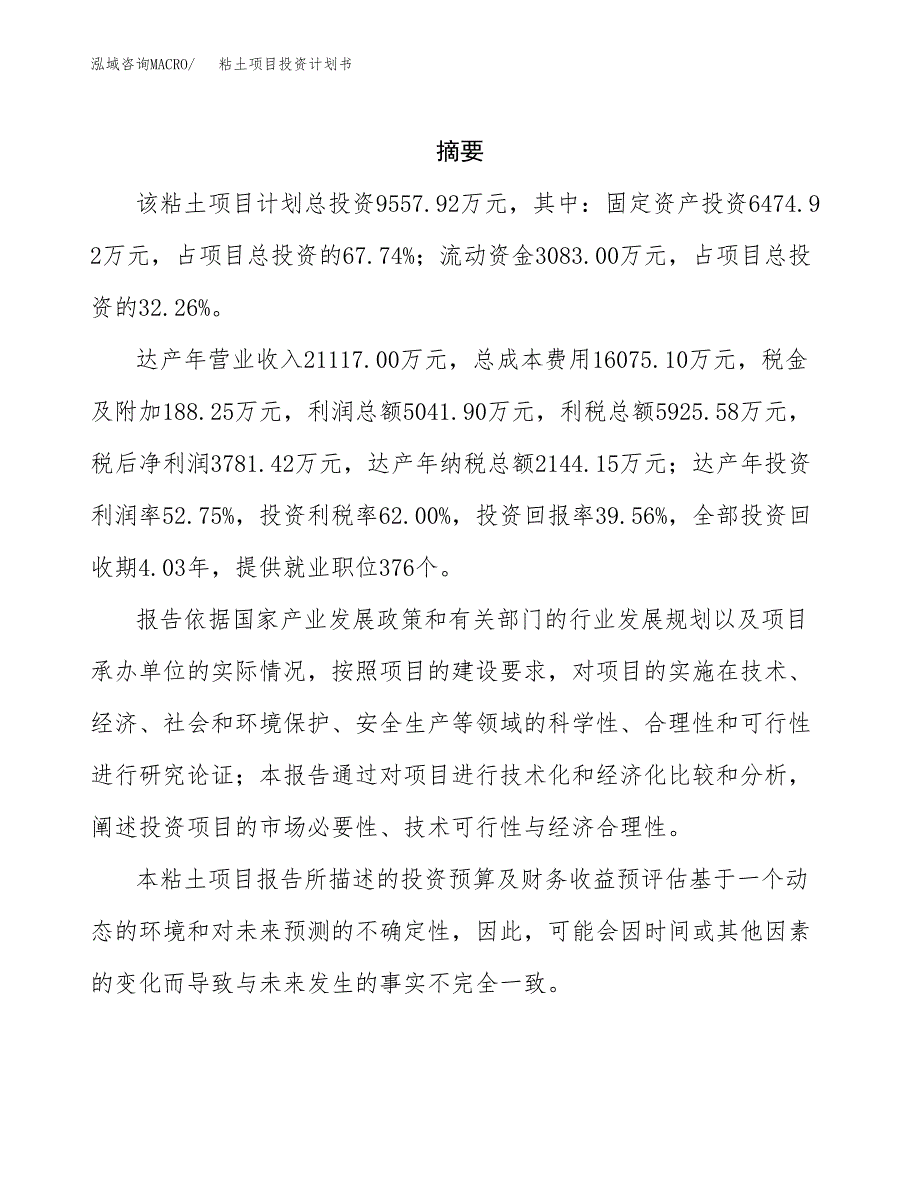 粘土项目投资计划书(招商引资).docx_第2页