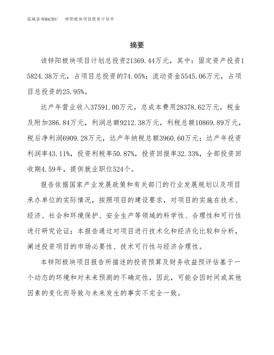 锌阳极块项目投资计划书(招商引资).docx_第2页