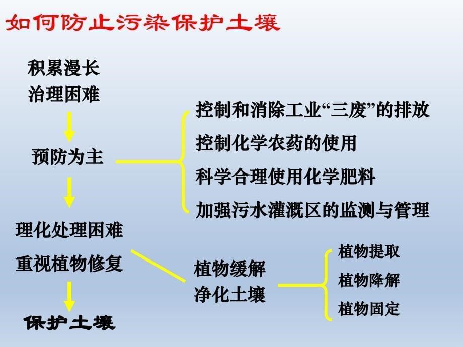 三 年级下册科学课件-1.6《土壤与植物》 北京课改版(共12张PPT)_第5页