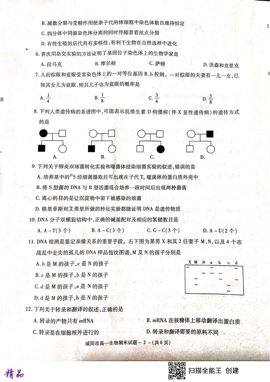 陕西省咸阳市2018_2019学年高一生物下学期期末教学质量检测试题_第2页