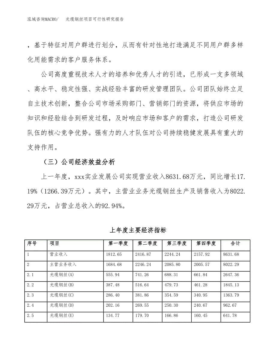 光缆钢丝项目可行性研究报告标准模板.docx_第5页