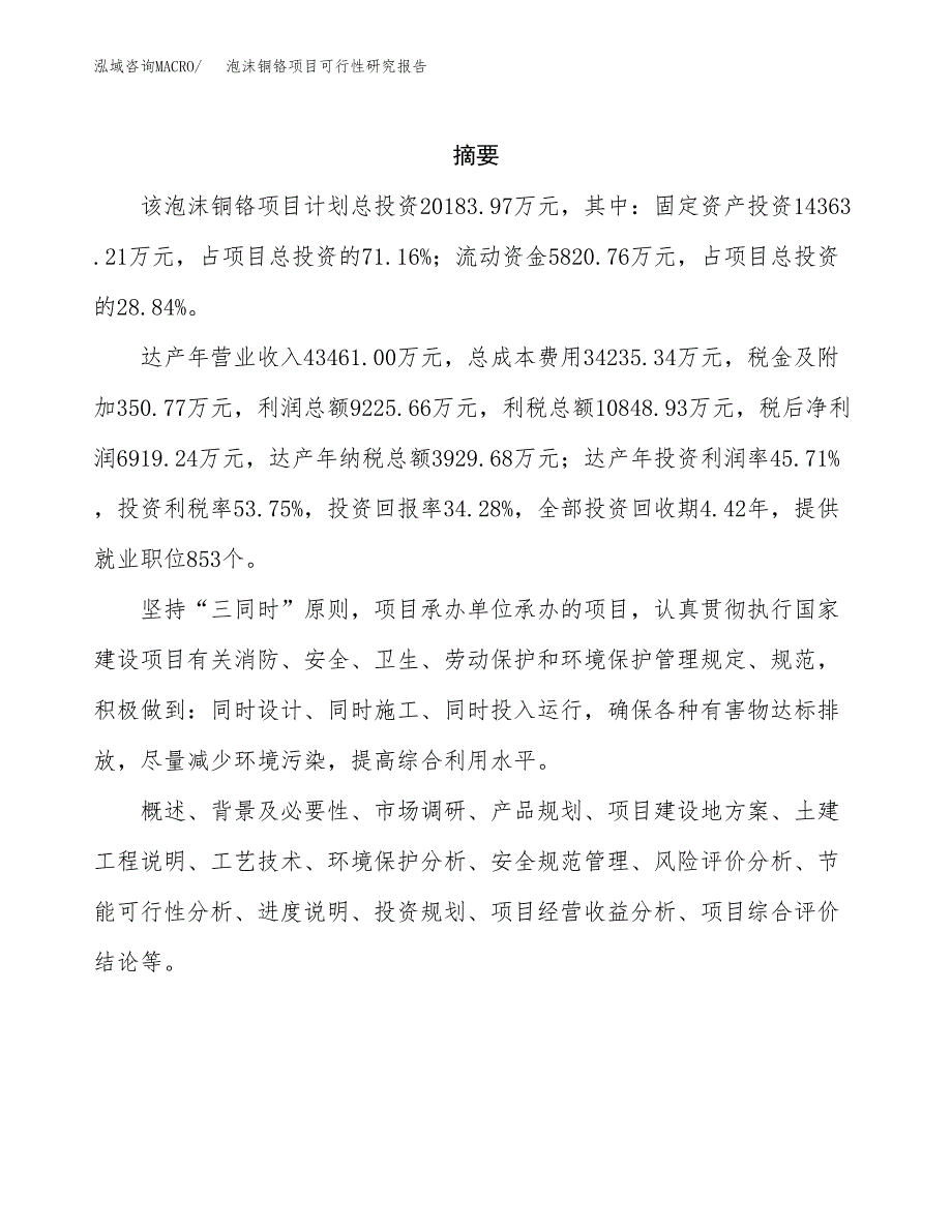 泡沫铜铬项目可行性研究报告标准模板.docx_第2页