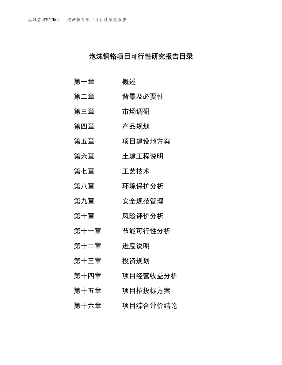 泡沫铜铬项目可行性研究报告标准模板.docx_第3页