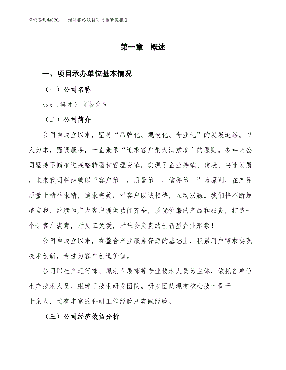 泡沫铜铬项目可行性研究报告标准模板.docx_第4页