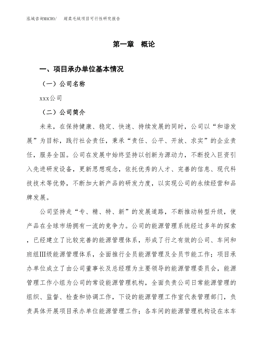 超柔毛绒项目可行性研究报告标准模板.docx_第4页