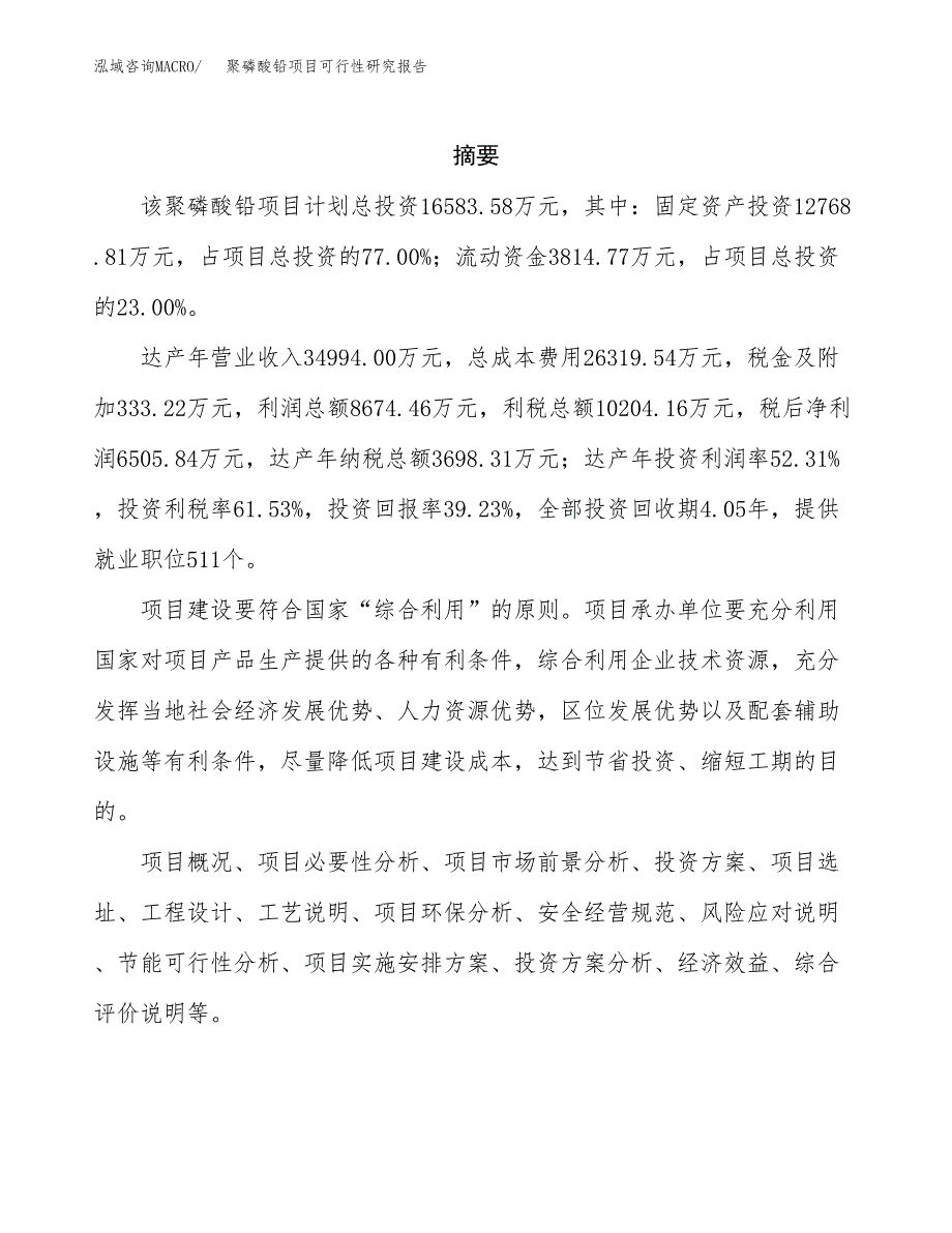 聚磷酸铅项目可行性研究报告标准模板.docx_第2页