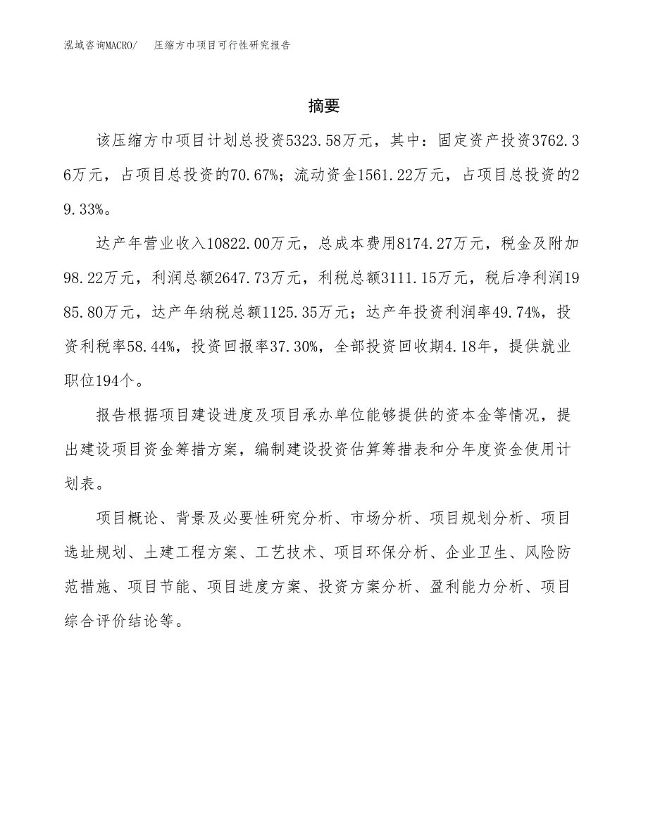 压缩方巾项目可行性研究报告标准模板.docx_第2页