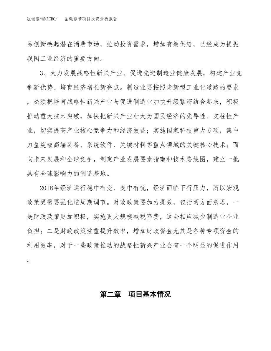 圣诞彩带项目投资分析报告（投融资报告）.docx_第5页