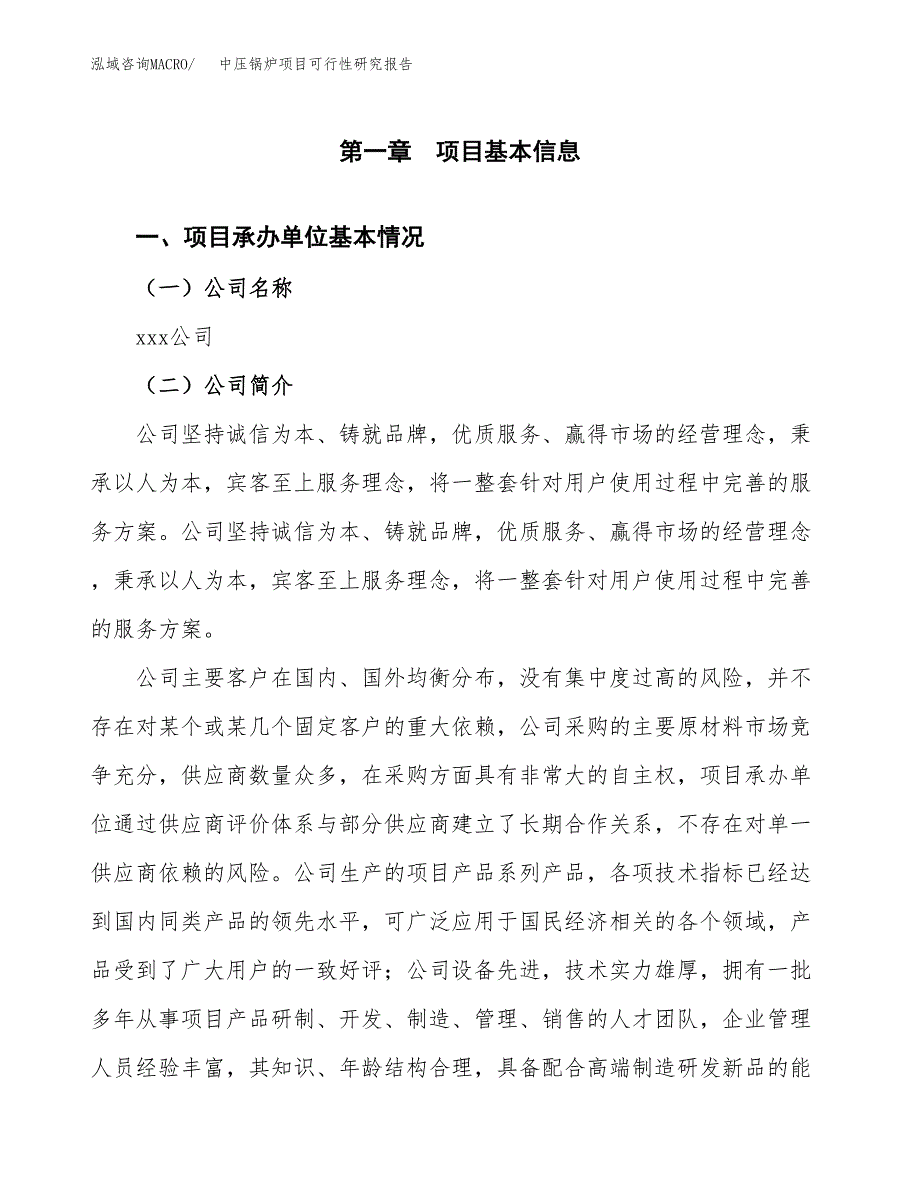 中压锅炉项目可行性研究报告标准模板.docx_第4页