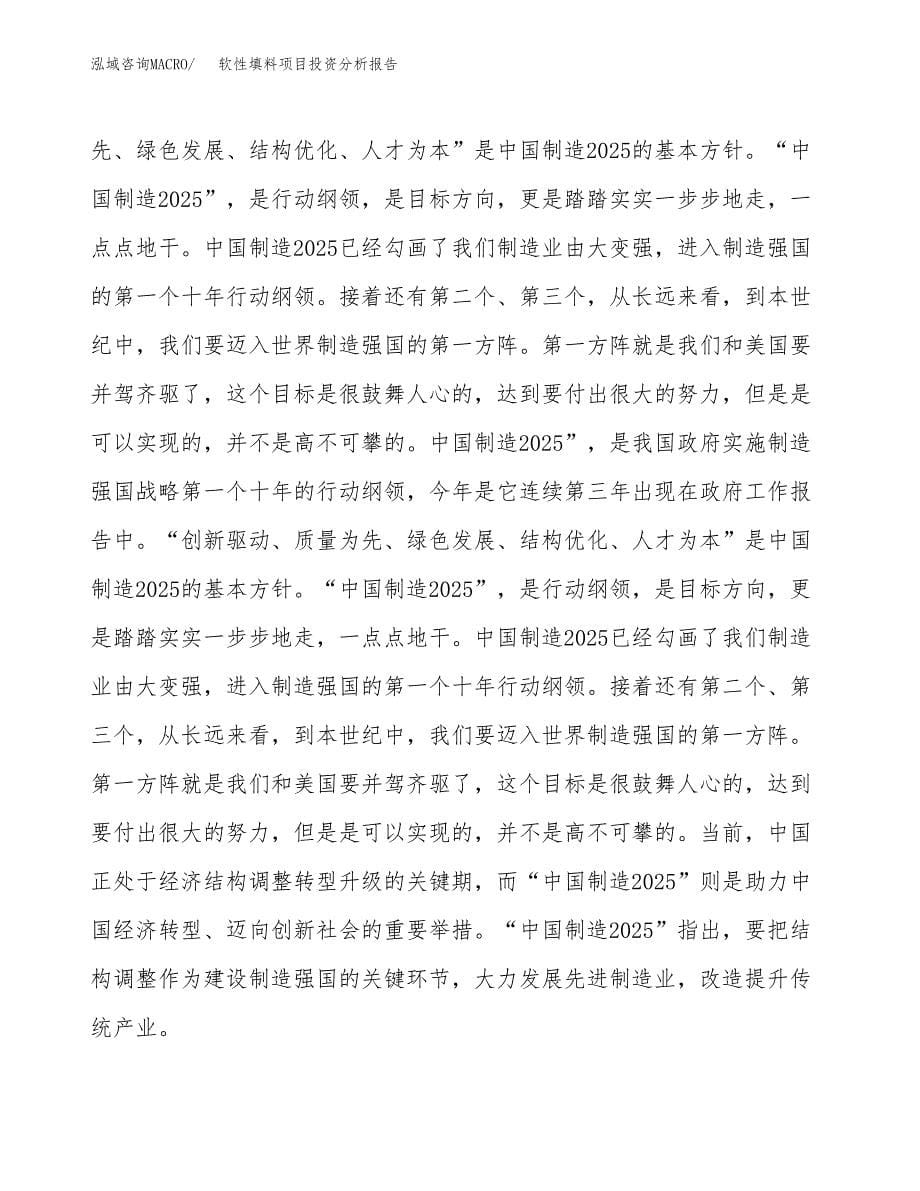 软性填料项目投资分析报告（投融资报告）.docx_第5页