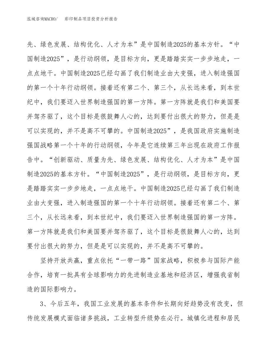 彩印制品项目投资分析报告（投融资报告）.docx_第5页