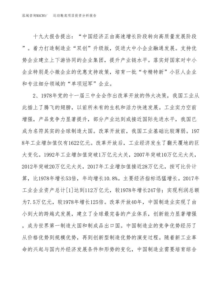 运动鞋底项目投资分析报告（投融资报告）.docx_第5页