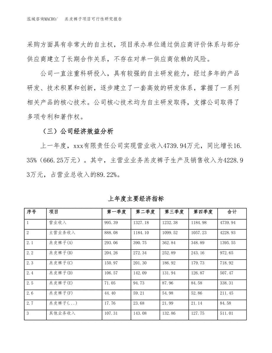 羔皮裤子项目可行性研究报告标准模板.docx_第5页