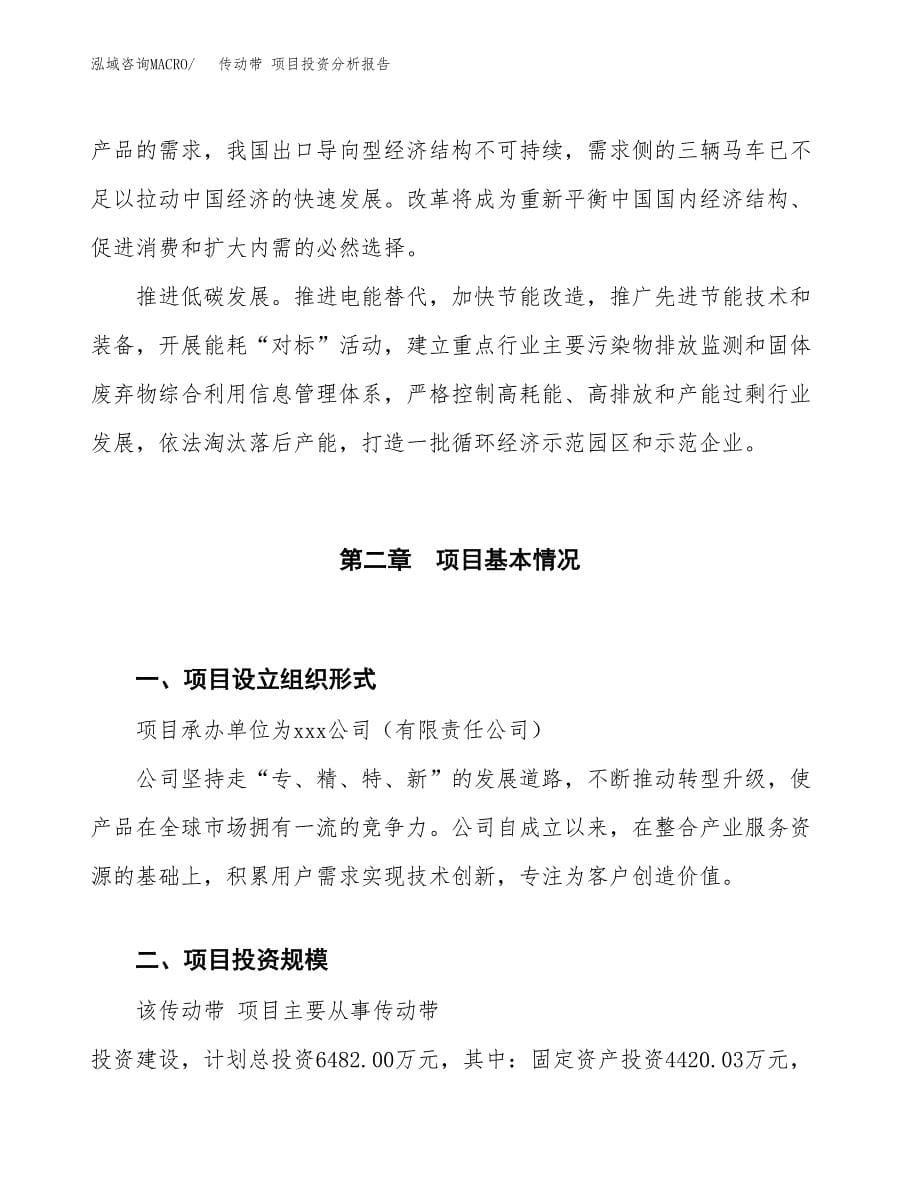 传动带 项目投资分析报告（投融资报告）.docx_第5页