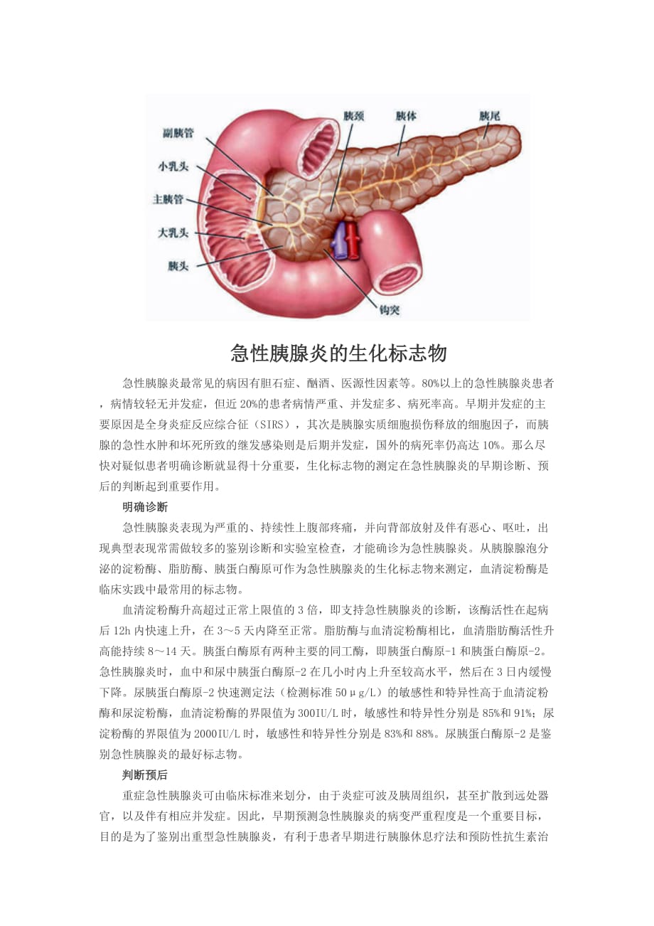 急性胰腺炎的生化标志物_第1页