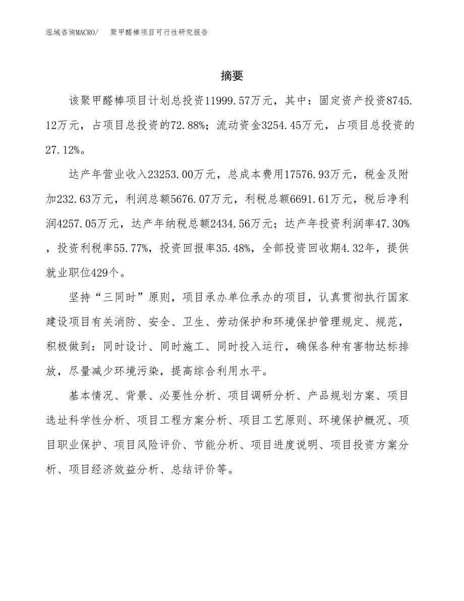 聚甲醛棒项目可行性研究报告标准模板.docx_第2页