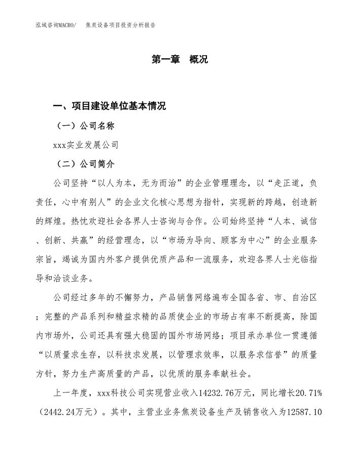 焦炭设备项目投资分析报告（投融资报告）.docx