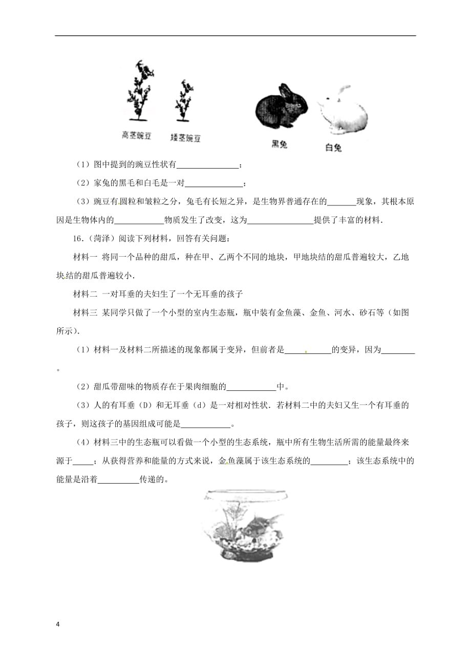 八年级生物下册 6.2生物的遗传和变异单元检测（含解析）（新版）冀教版_第4页