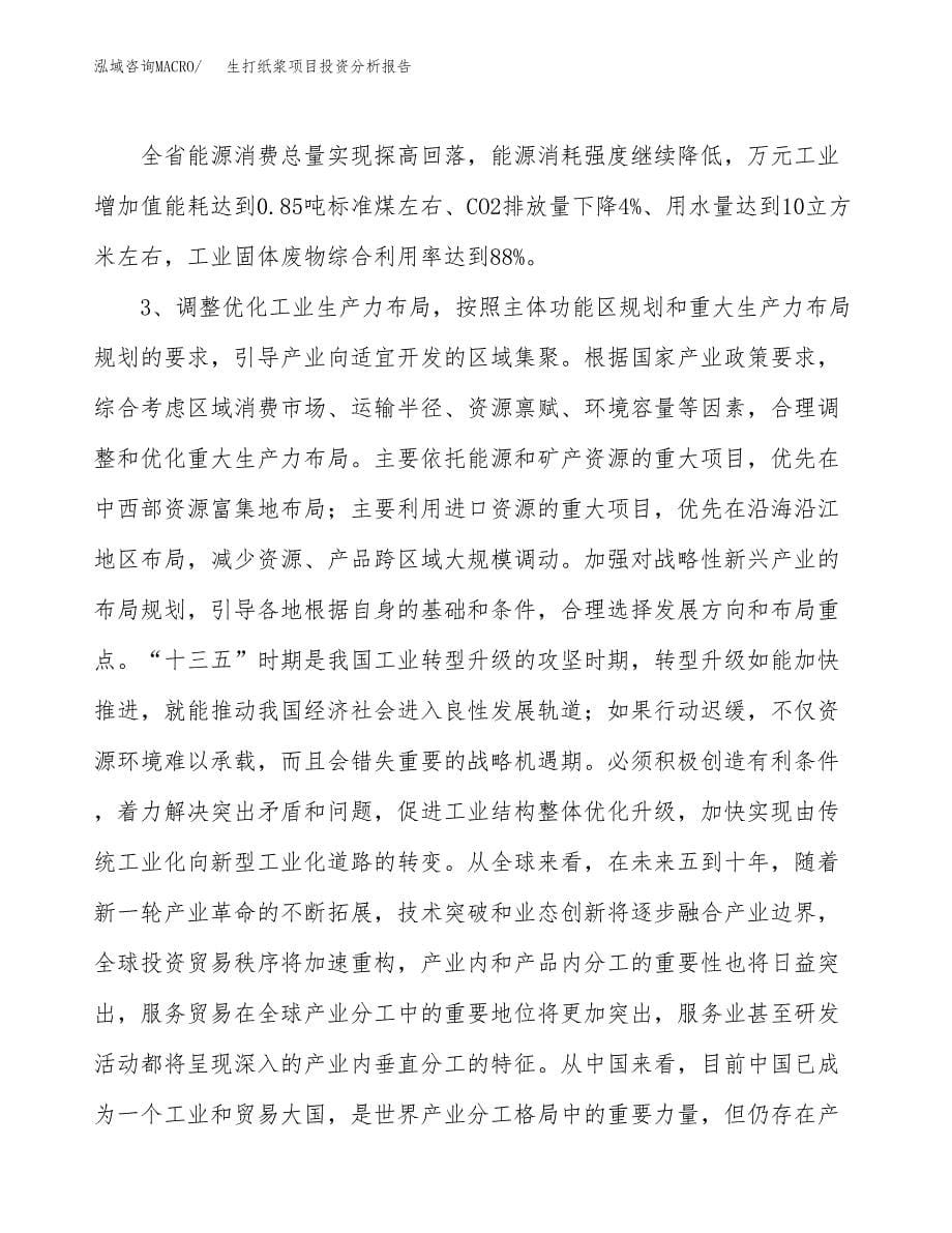 生打纸浆项目投资分析报告（投融资报告）.docx_第5页