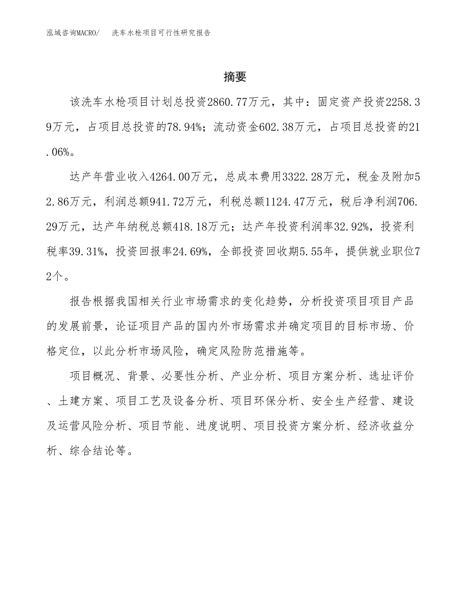 洗车水枪项目可行性研究报告标准模板.docx_第2页